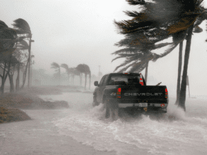 A Truck in the middle of severe weather. Lots of water and wind moving the palm trees.